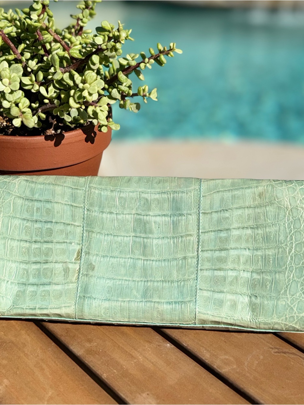 Nancy Gonzalez Mint Green Croc-Embossed Leather Clutch